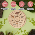 Wooden life cycle puzzle enhances cognitive processing, teaches cause & effect, encourages independent play, and improves hand-eye coordination.