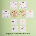 life cycle puzzle set contains 4 life cycle puzzle with picture cards