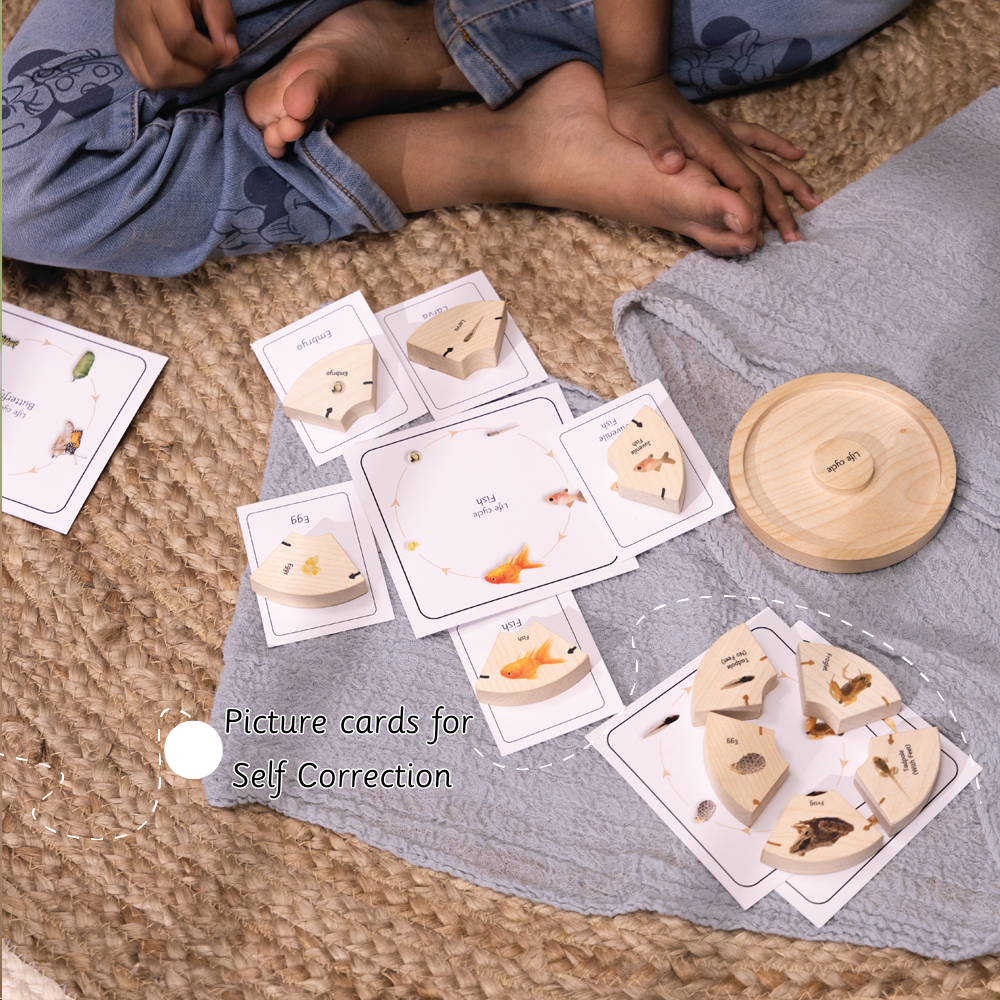 life cycle pzzle has picture cards for self correction