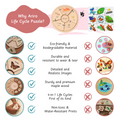 life cycle puzzle offers a natural, child-safe design that promotes logical thinking and fine motor skills without overwhelming visuals