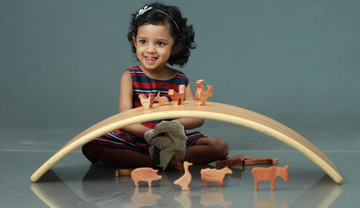 The Balancing board - Ariro Toys