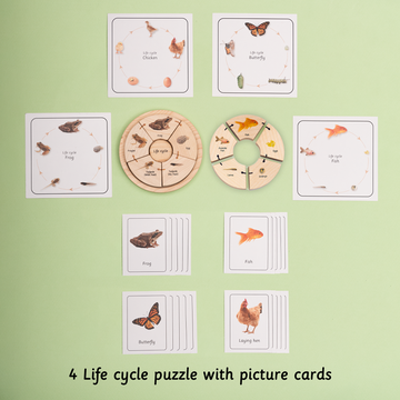 Life Cycle Puzzle - Oviparous