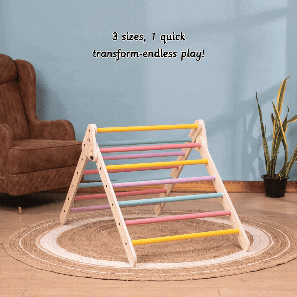 Pikler Triangle - Semi colored - Ariro Toys