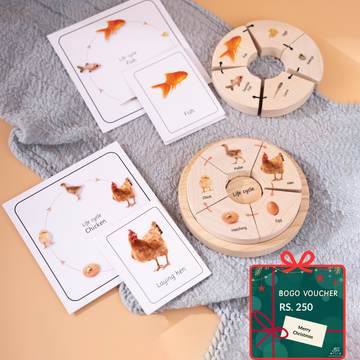 Life Cycle Puzzle - Oviparous