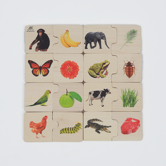 Sturdy, child-safe wooden Montessori puzzles that boost toddlers’ fine motor skills, creativity, and early learning.
