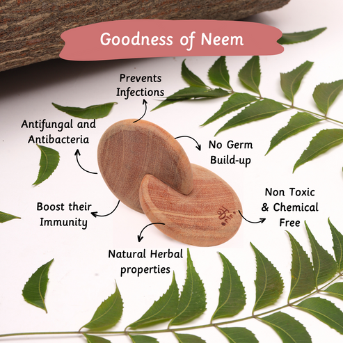 Interlocking discs Montessori |Wooden Toys for babies at 4 Months| Ariro