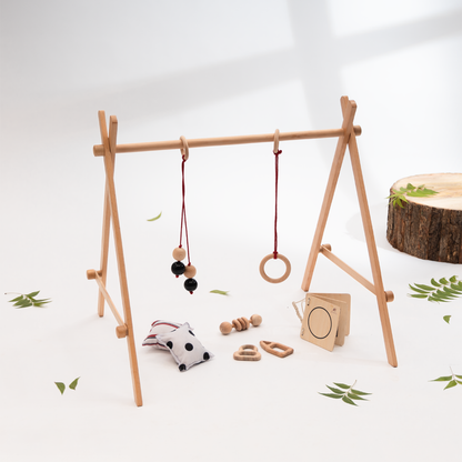 Neem Infant Starter Bundle crafted  for infants, complete with hanging sensory toys and tactile accessories to stimulate early motor and visual development.