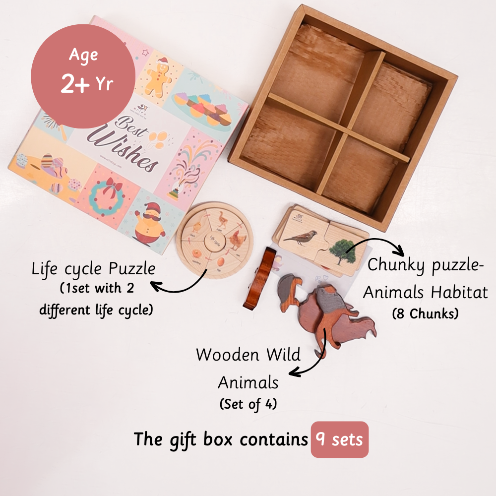 Playful Dreamers Box age box contains life cycle puzzle chunky puzzle-animals habitat wooden wild animals