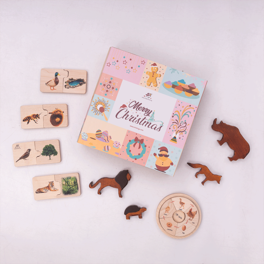 Playful Dreamers Box christmas