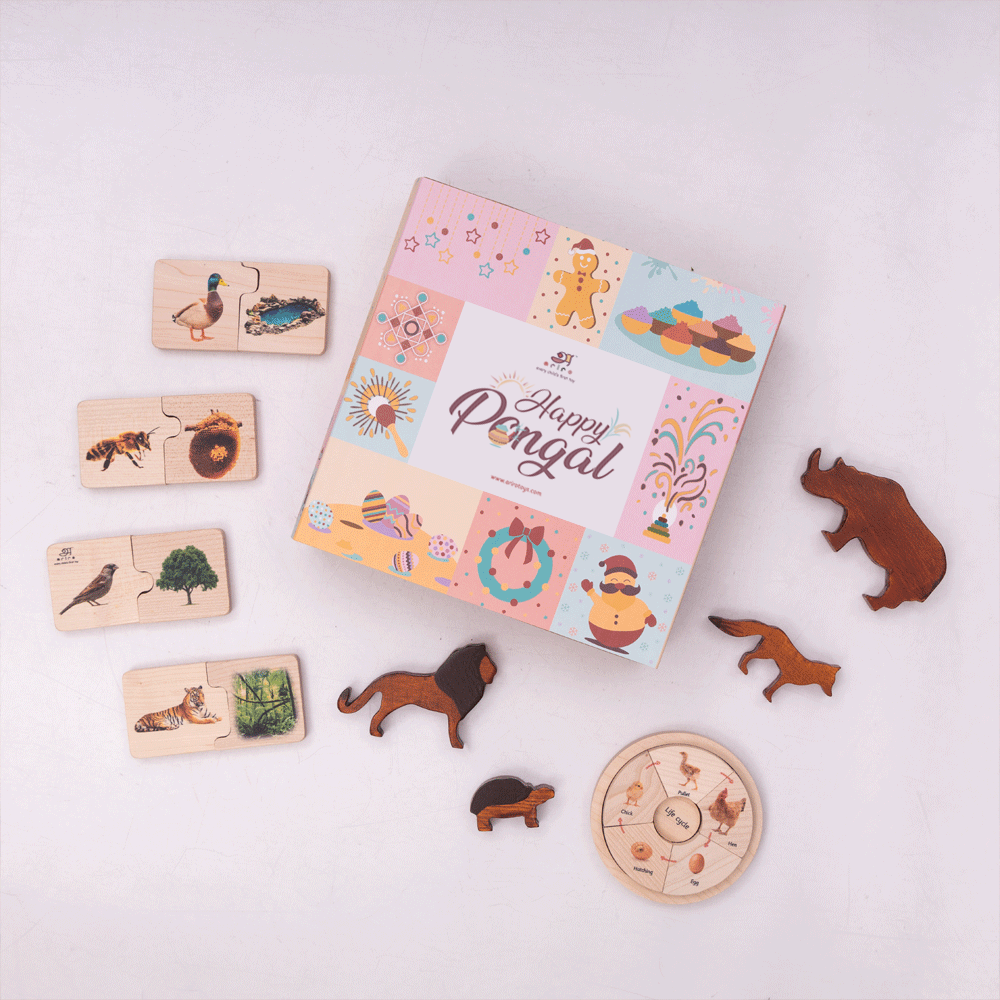 Playful Dreamers Box pongal
