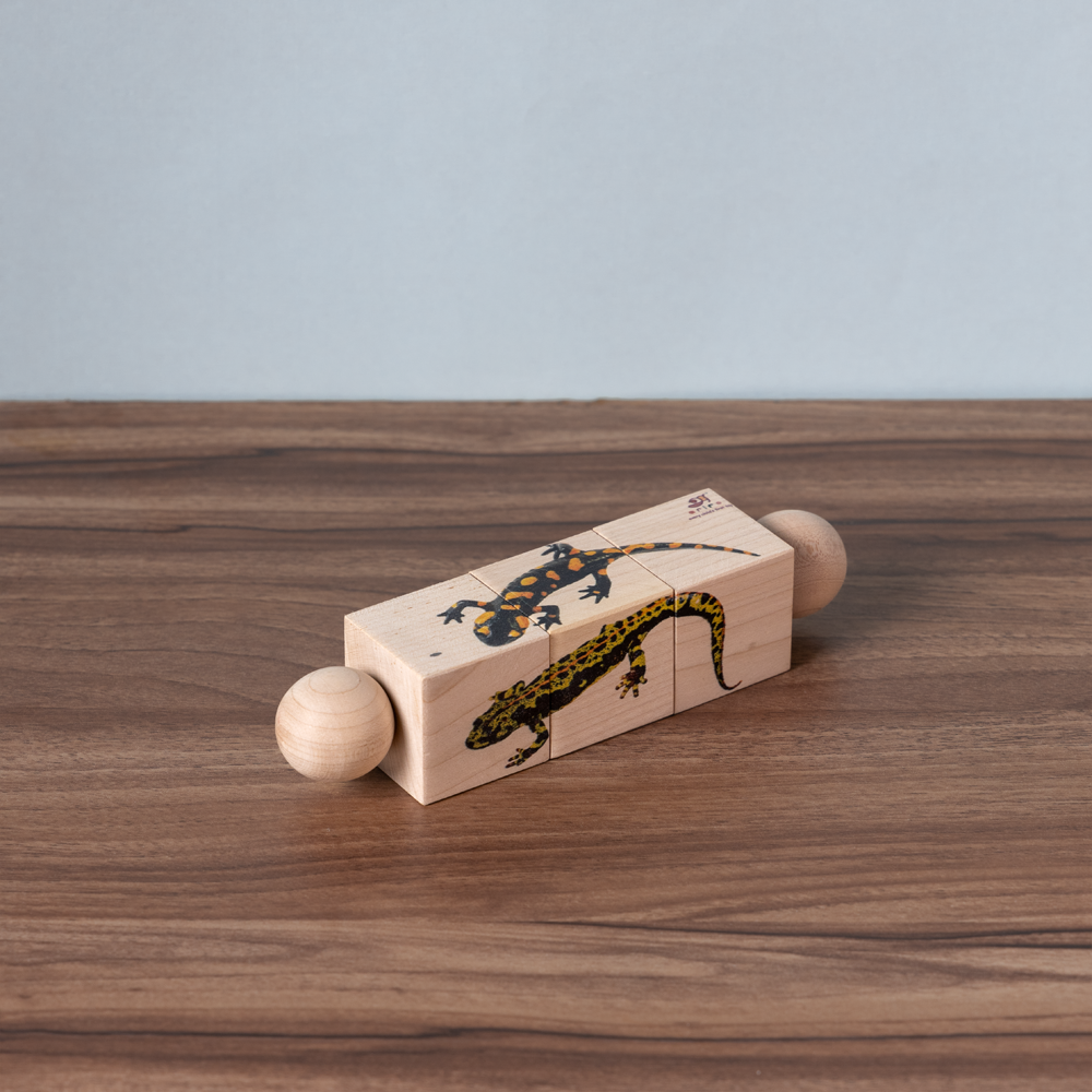 Rotating Puzzle - Amphibians segments that spark curiosity and build early problem-solving skills.