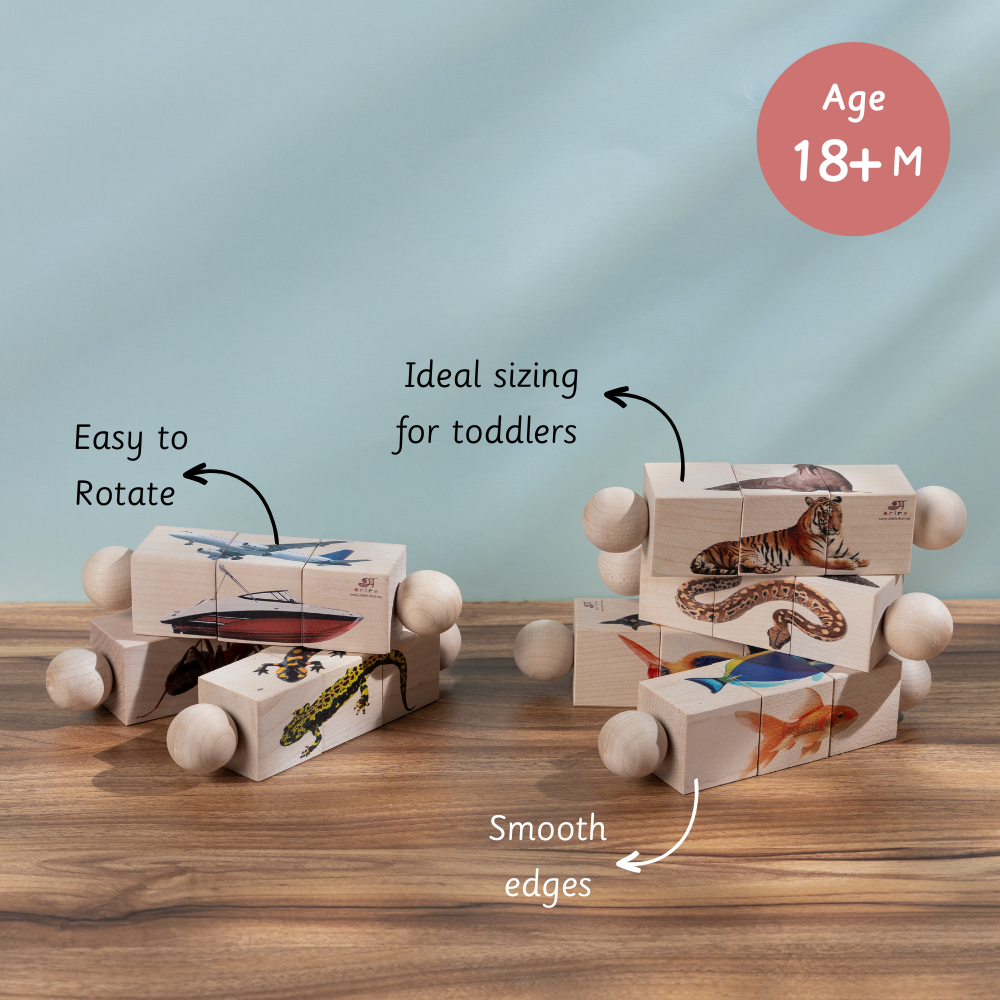 Rotating Puzzle - Amphibians with smooth edges and toddler-friendly sizing, designed for easy rotation