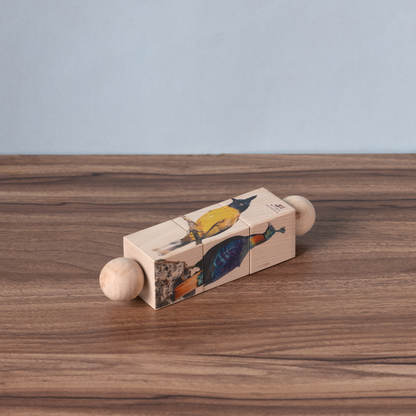 Rotating Puzzle - Birds segments that spark curiosity and build early problem-solving skills.