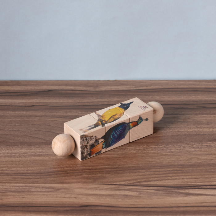 Rotating Puzzle - Birds segments that spark curiosity and build early problem-solving skills.