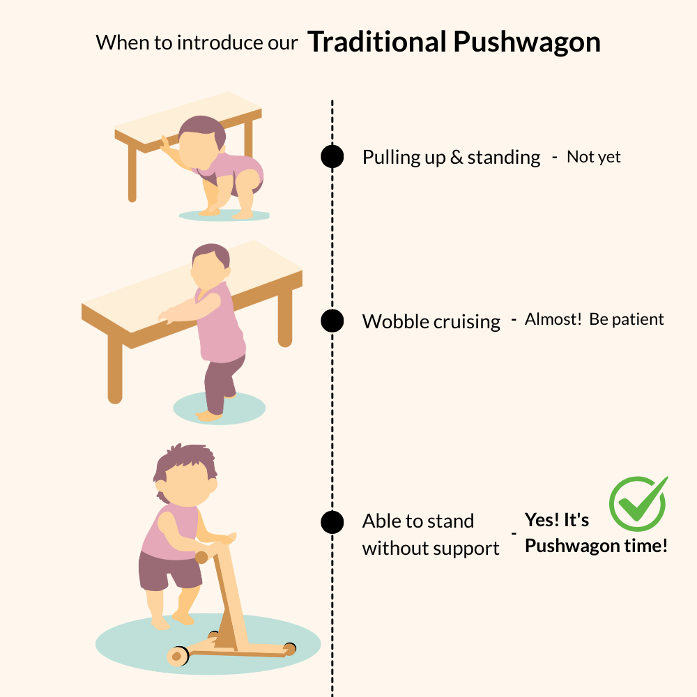 Introduce the traditional push wagon when the baby cam stand without support 