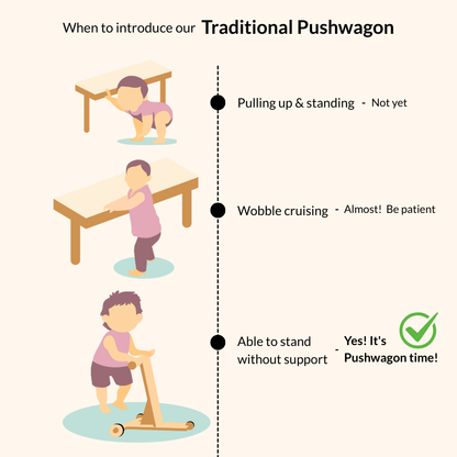 Introduce the traditional push wagon when the baby cam stand without support 