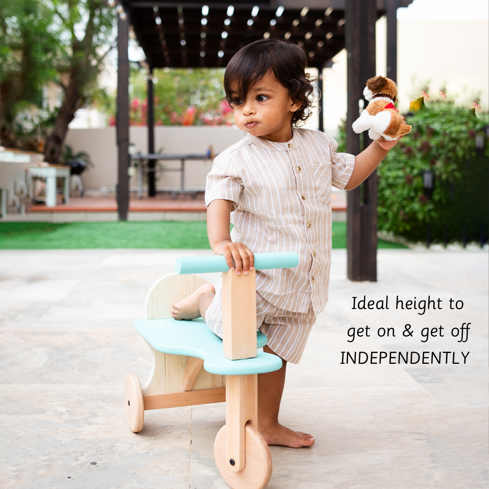 Tuk Tuk - The Tricycle is ideal height to get on and off independently