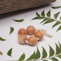 Wooden Grasping beads are antibacterial, non-toxic, and perfect for babies to safely chew, grasp, and explore through sensory play.




