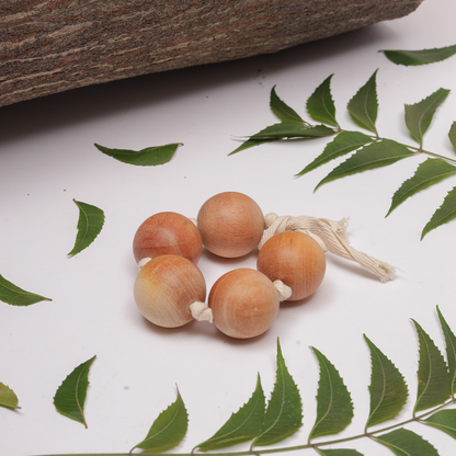 Wooden Grasping beads are antibacterial, non-toxic, and perfect for babies to safely chew, grasp, and explore through sensory play.




