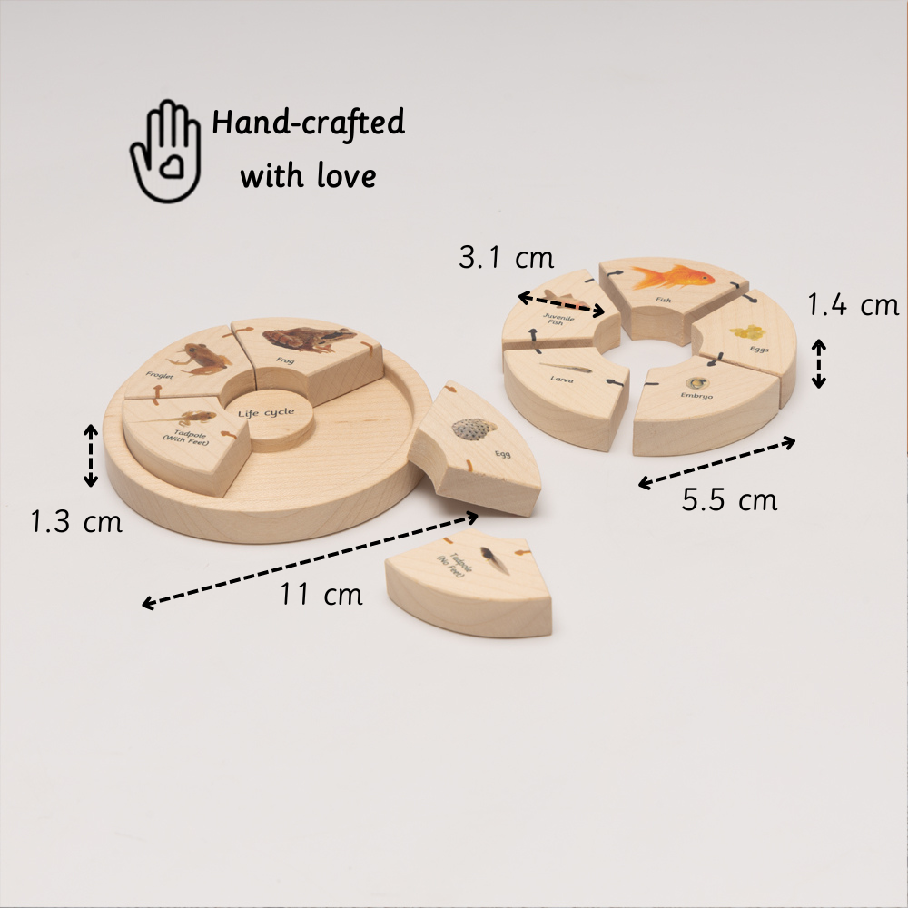 life cycle puzzle designed for tiny hands to explore grip, coordination, and early learning through simple, safe play
