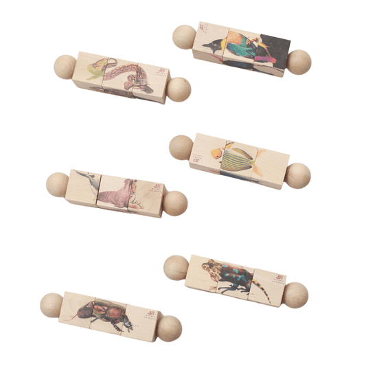 A set of six wooden rolling rattles featuring colorful, split animal illustrations that align when matched, encouraging visual recognition and fine motor skills in young children