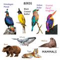 Beautifully handcrafted wooden rattles featuring vibrant bird and mammal illustrations—designed to be eco-friendly, lightweight, and thoughtfully made to engage toddlers through simple, purposeful play.